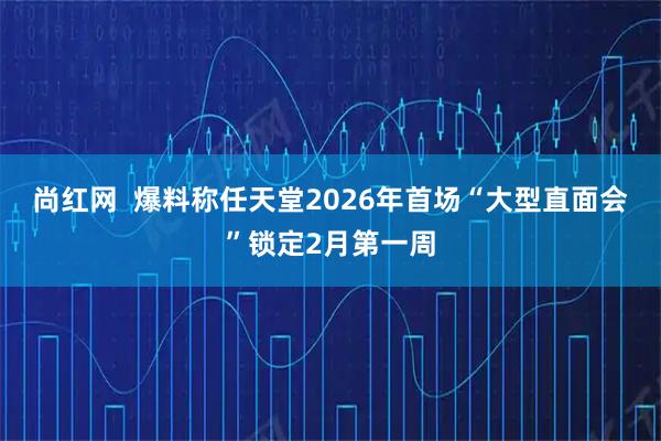尚红网  爆料称任天堂2026年首场“大型直面会”锁定2月第一周