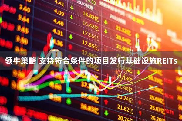 领牛策略 支持符合条件的项目发行基础设施REITs