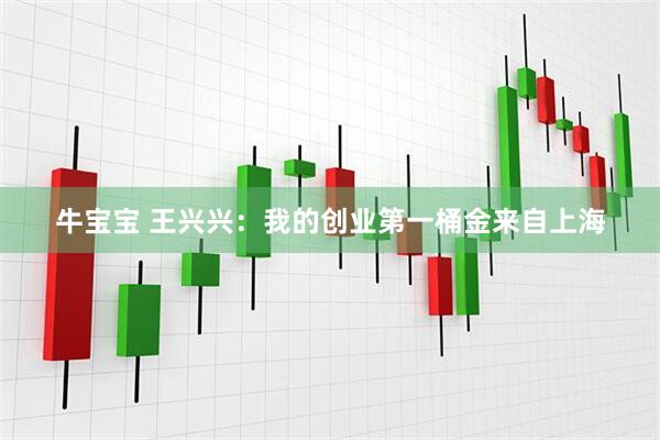 牛宝宝 王兴兴：我的创业第一桶金来自上海