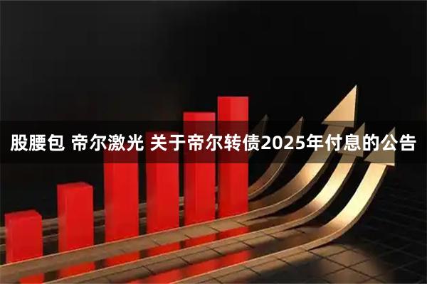 股腰包 帝尔激光 关于帝尔转债2025年付息的公告